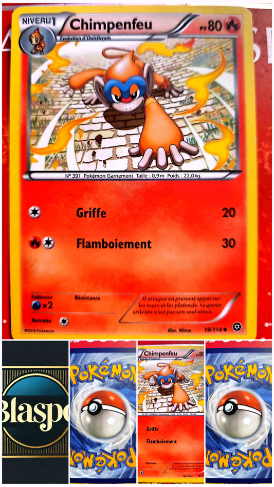 Carte Pokémon Chimpenfeu 19/114 – Version française – Carte à l’unité