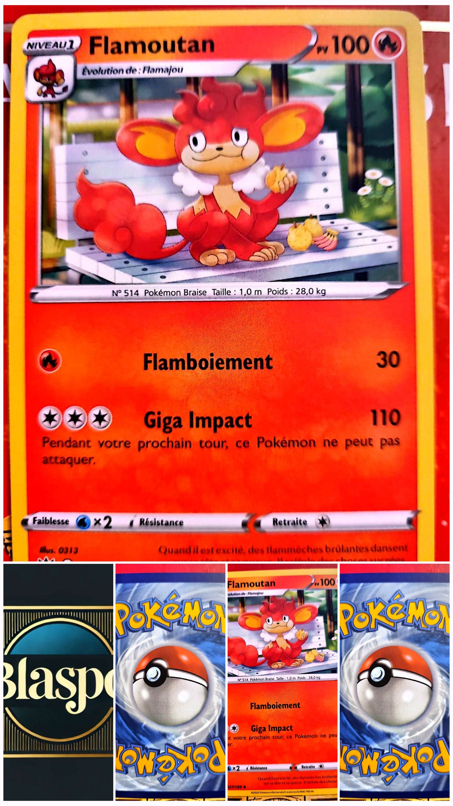 Carte Pokémon Flamoutan 027/189 – Version française – Carte à l’unité