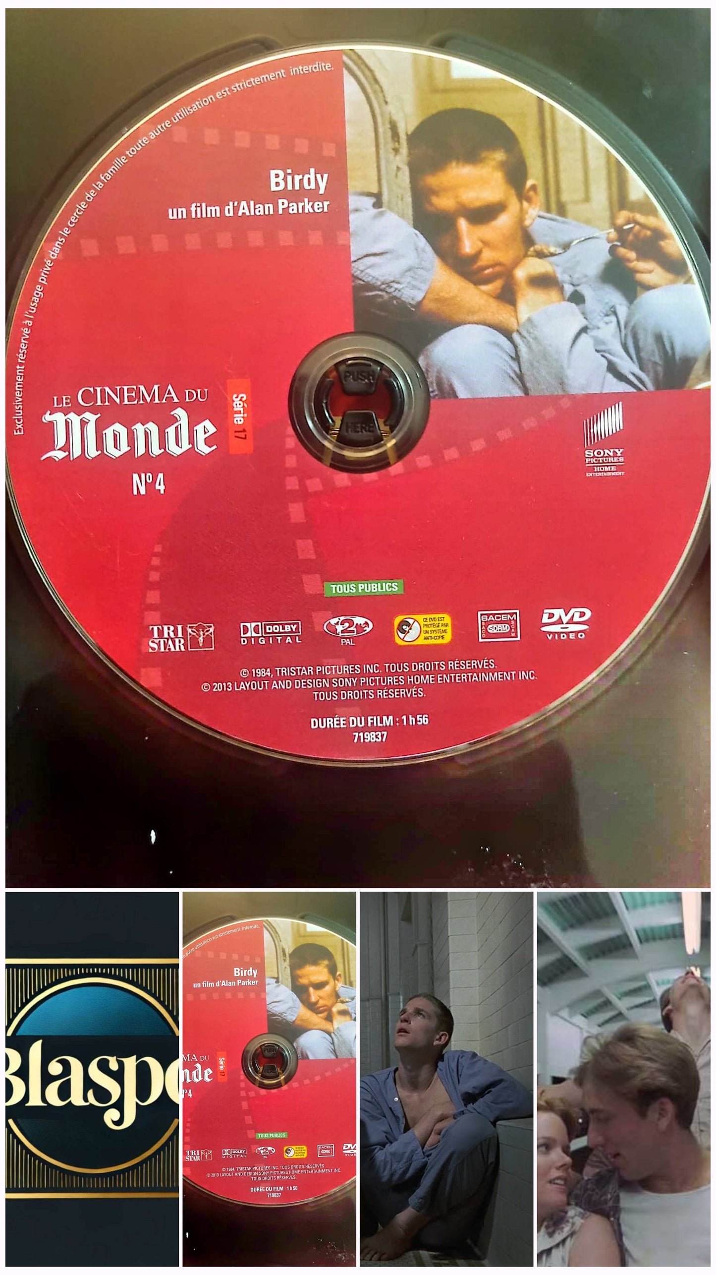 Birdy – DVD Film Drame – Le Cinéma du Monde – Sans boîtier – Fonctionnel
