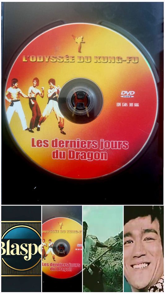 Les Derniers Jours du Dragon – DVD Kung-Fu – Disque seul – Fonctionnel – Sans boîtier