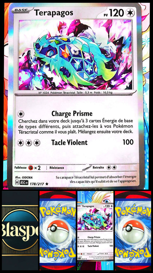 Carte Pokémon Terapagos 178/217 PV 120 – Carte Officielle Française – Pokémon Téracristal Incolore