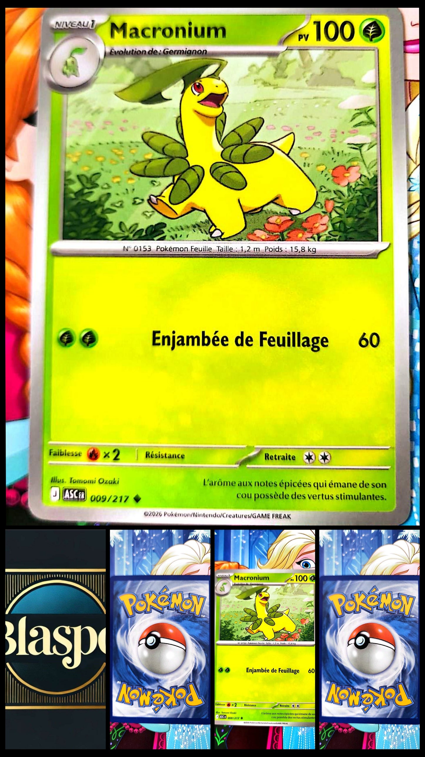 Carte Pokémon 009/217 Type Plante – Carte TCG Pokémon Française – Collection Jeu Pokémon