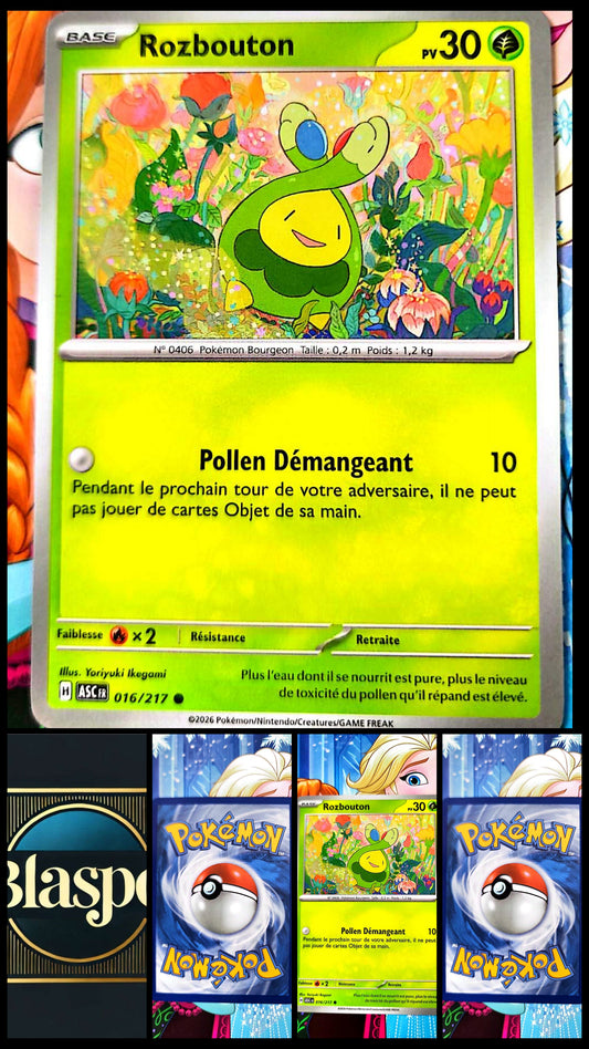 Carte Pokémon Plante Française – Carte TCG Pokémon – Carte Commune – Collection & Jeu