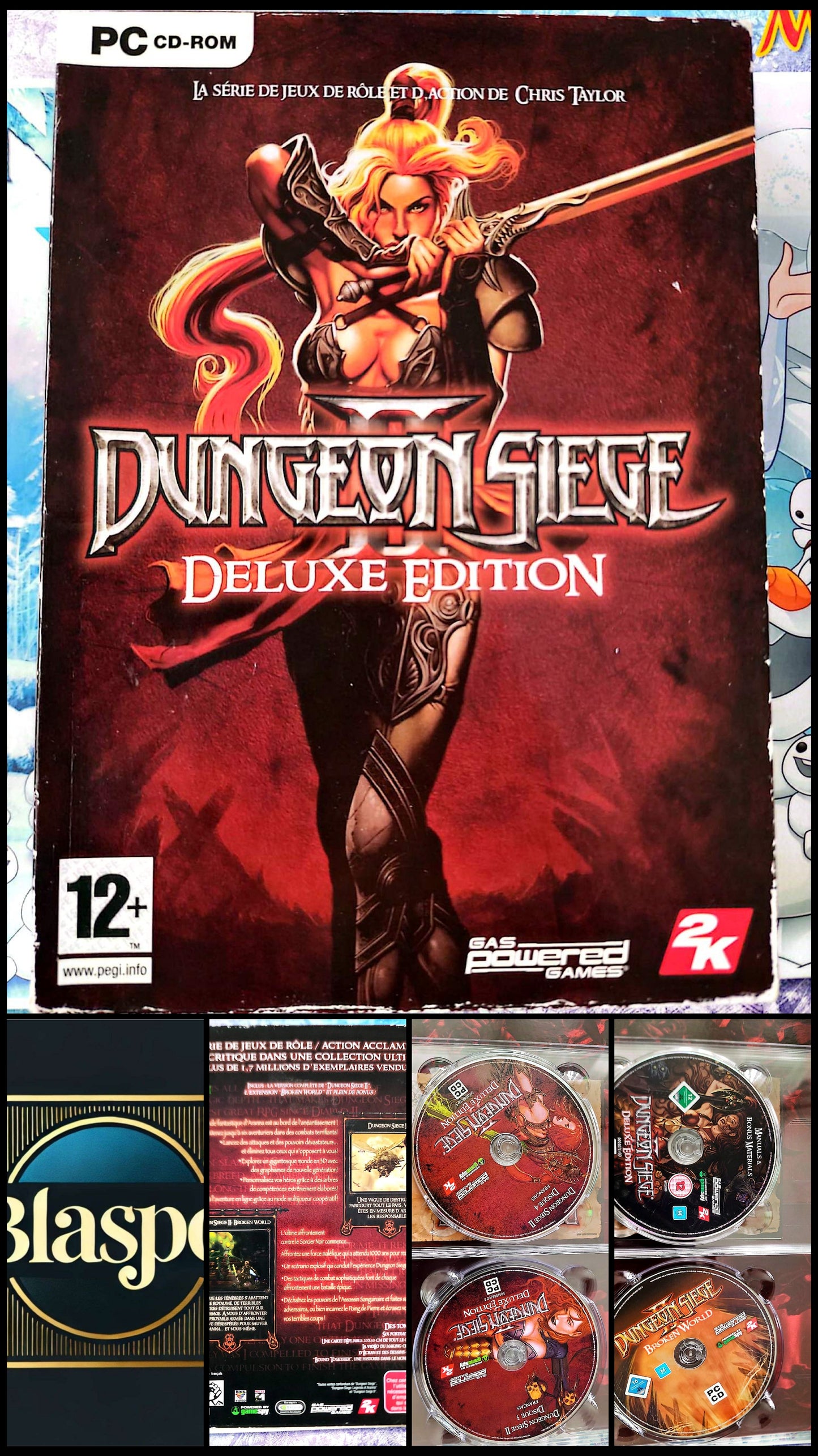 Dungeon Siege Deluxe Edition Jeu PC Complet Incomplet 1 CD Manquant Français RPG Action