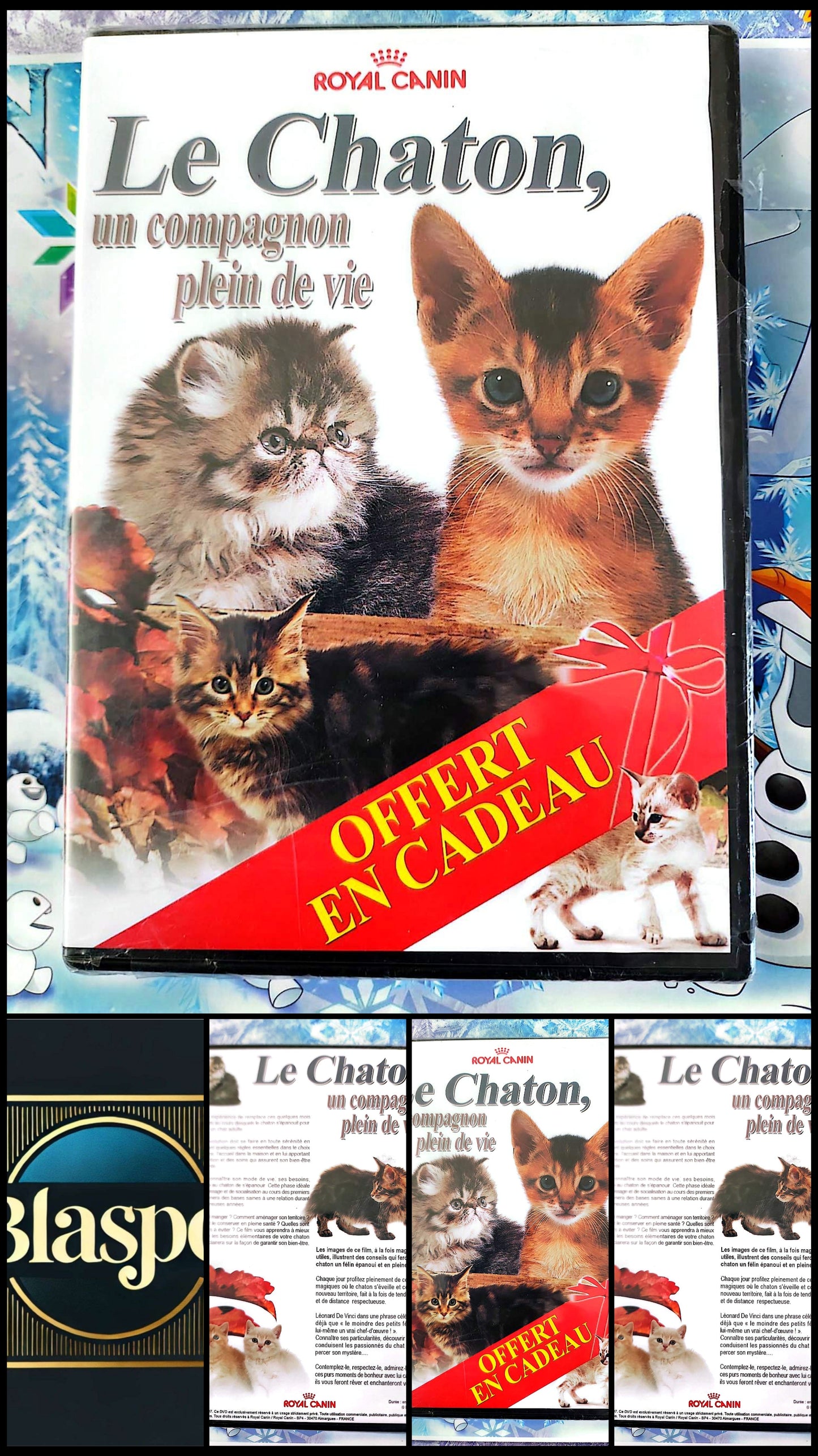 DVD Le Chaton Un Compagnon Plein de Vie Royal Film Documentaire Chats Chatons PAL Français