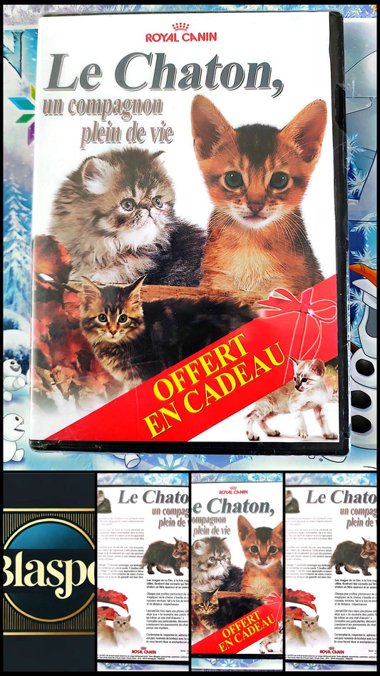 DVD Le Chaton Un Compagnon Plein de Vie Royal Film Documentaire Chats Chatons PAL Français
