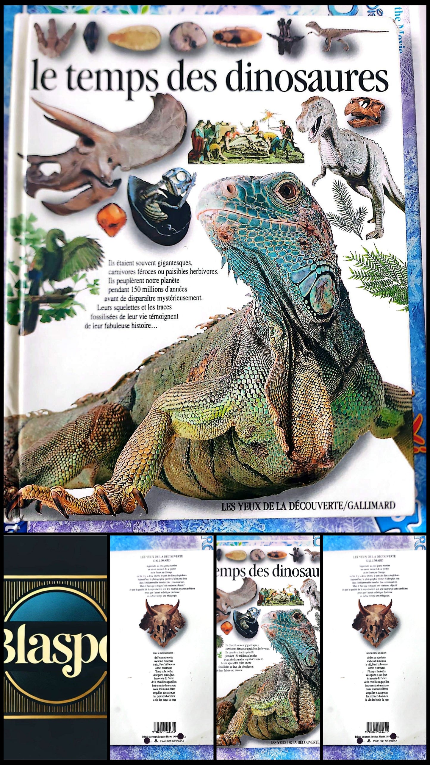 Le Temps des Dinosaures – Encyclopédie Illustrée Jeunesse | Livre Éducatif Préhistoire Dinosaure | Les Yeux de la Découverte Gallimard