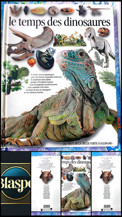 The Age of Dinosaurs – Illustrated Children's Encyclopedia | Educational Prehistoric Dinosaur Book | Eyewitness Books Gallimard
