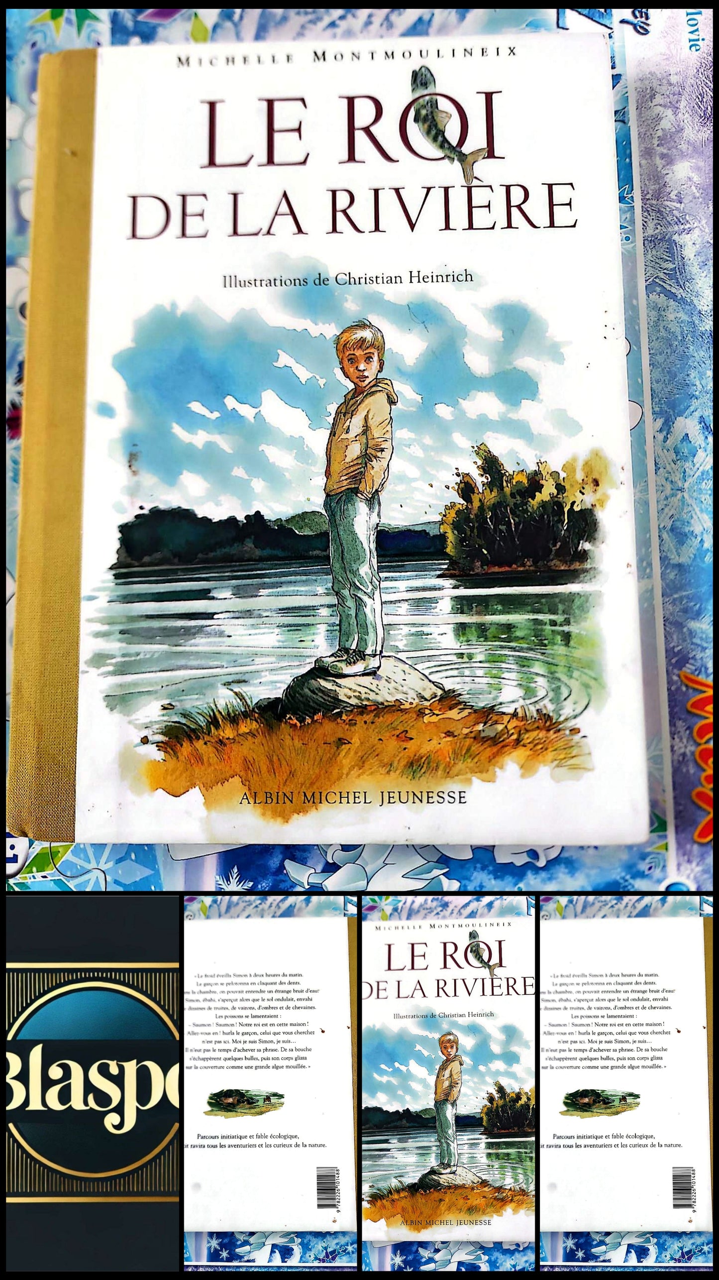 Le Roi de la Rivière – Michelle Montmoulineix | Roman Jeunesse Nature Écologie | Livre Illustré Albin Michel Jeunesse