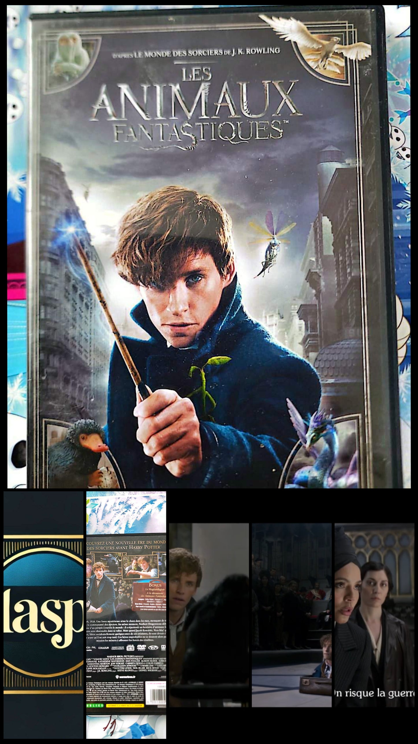 Les Animaux Fantastiques DVD Film Fantastique Harry Potter J.K. Rowling VF VO