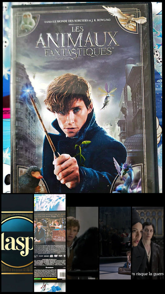 Les Animaux Fantastiques DVD Film Fantastique Harry Potter J.K. Rowling VF VO