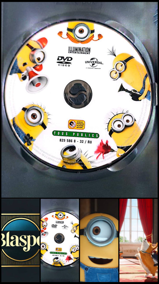 Les Minions DVD Seul Sans Boîtier Film Animation Occasion