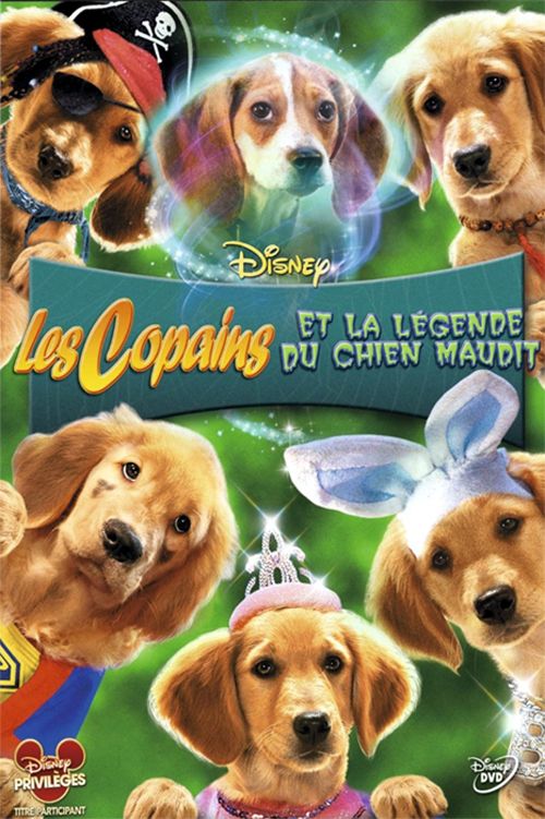 Dvd Les Copains Et La Légende Du Chien Maudit