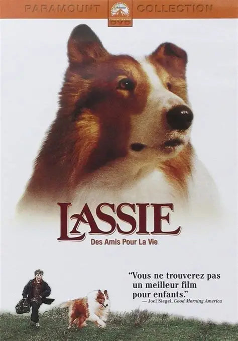 DVD LASSIE DES AMIS POUR LA VIE