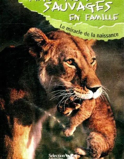 DVD Les animaux sauvages en familles le miracle de la naissance