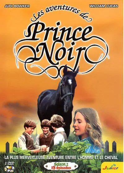 DVD les aventures de prince noir " la plus merveilleuse aventure entre l'homme et le cheval saison 2 épisode 13