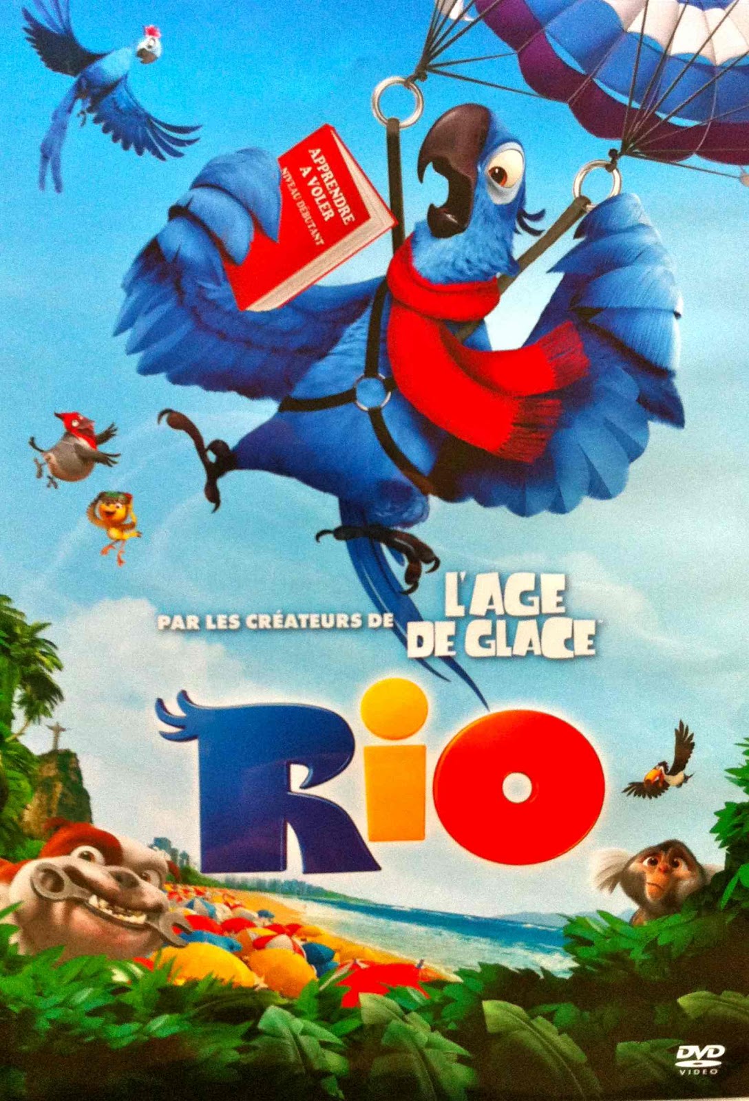 DVD RIO