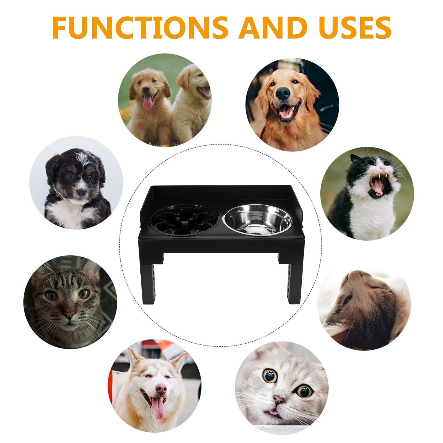 Gamelle Surélevée Réglable pour Chien et Chat avec Double Bol Inox – Support Anti Glouton et Station d'Alimentation Ergonomique