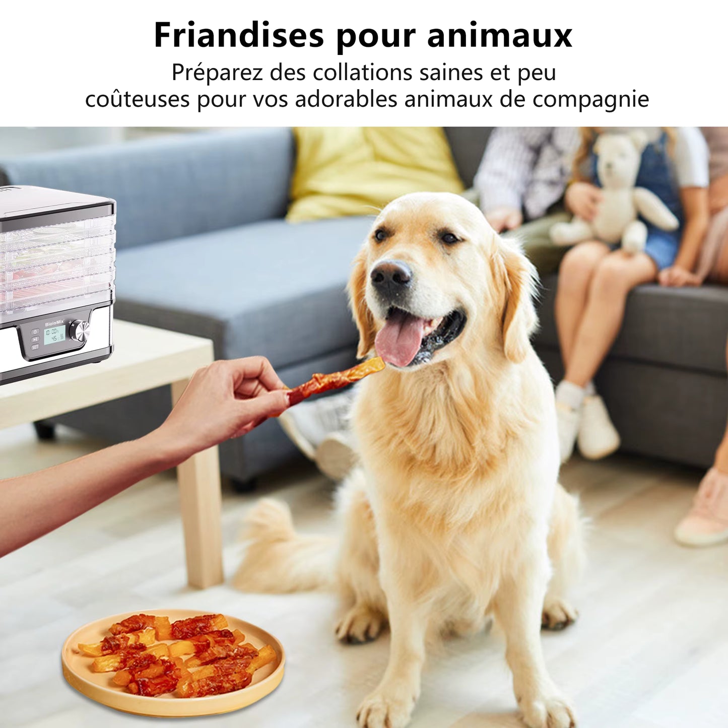 Déshydrateur Alimentaire  5 Plateaux Sans BPA – Séchoir Fruits et Légumes avec Minuterie Numérique et Contrôle Température