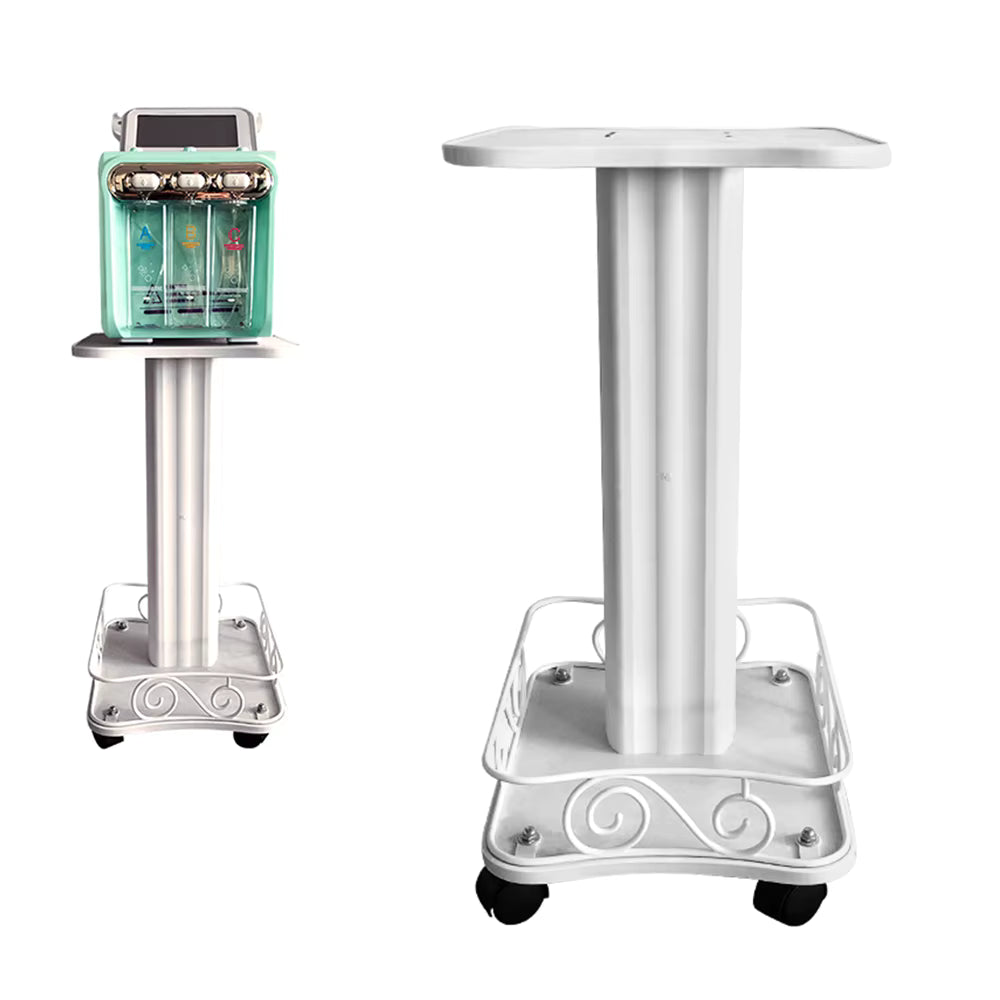 Chariot de Rangement à Roulettes 2 Niveaux – Moderne 40 kg