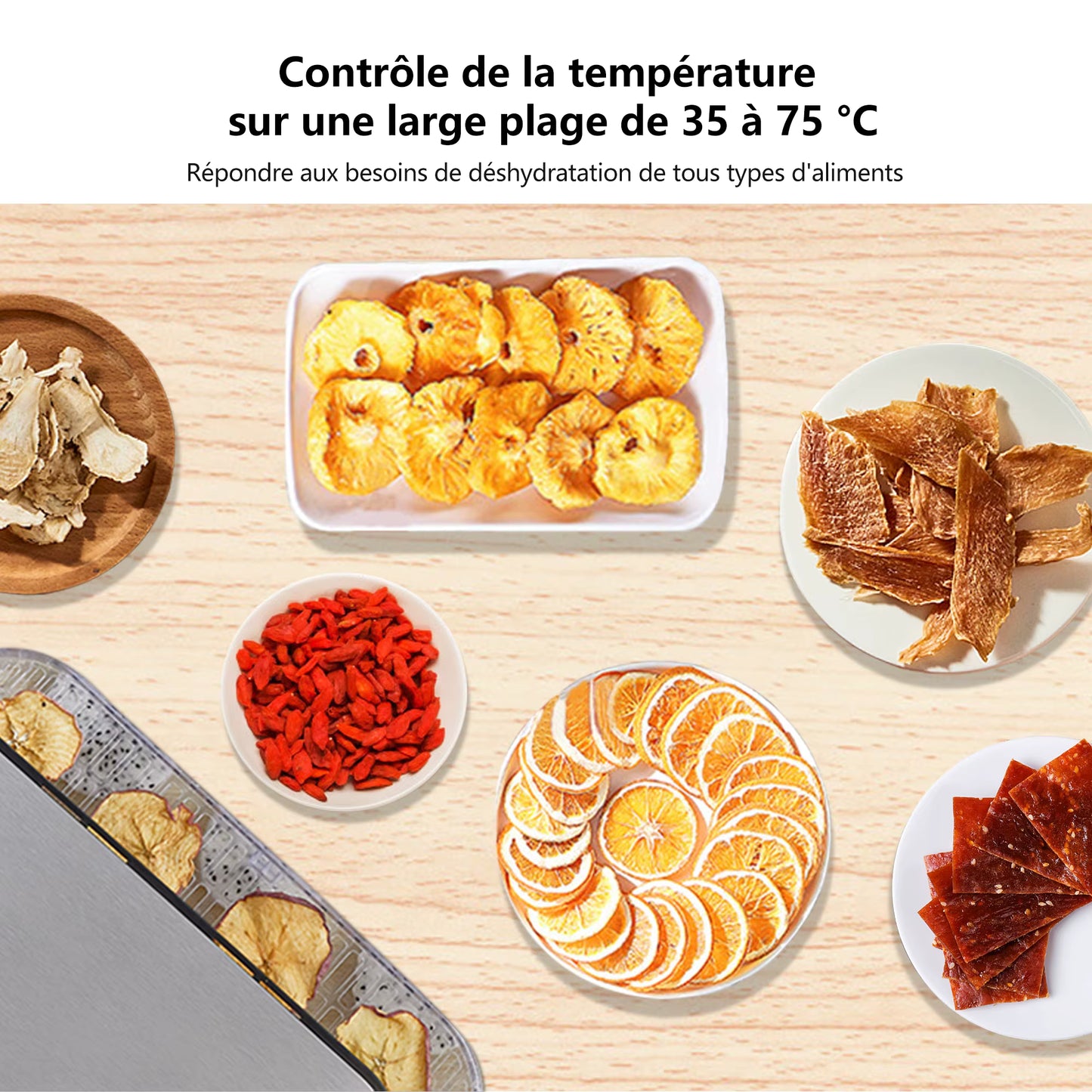 Déshydrateur Alimentaire  5 Plateaux Sans BPA – Séchoir Fruits et Légumes avec Minuterie Numérique et Contrôle Température