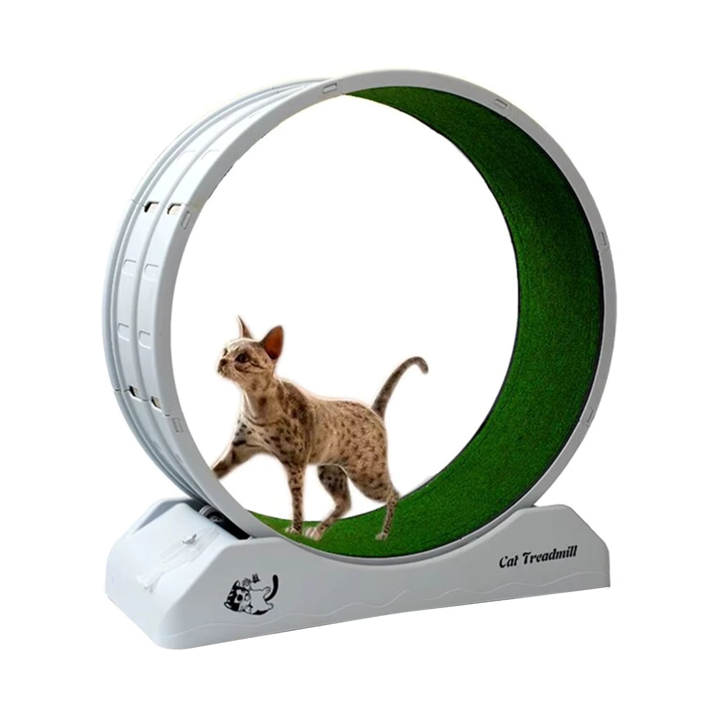 Grande Roue d’Exercice Silencieuse pour Chat – Tapis de Course Intérieur – Non Électrique – Structure Durable avec Verrouillage – 85 x 80 x 35 cm