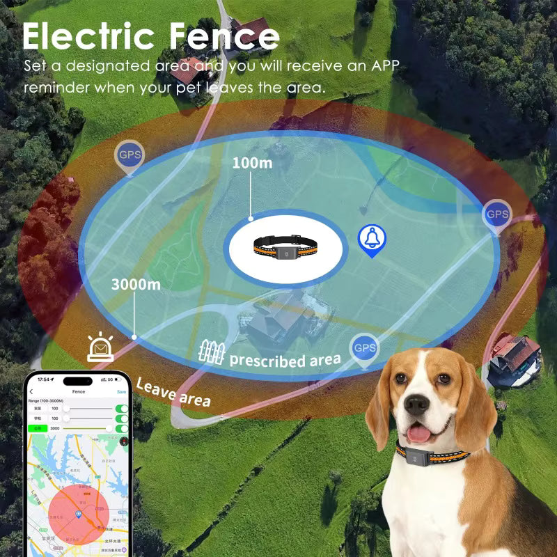 Collier GPS 4G pour Chien et Chat – Traceur d’Animaux Étanche IP67 avec Suivi en Temps Réel