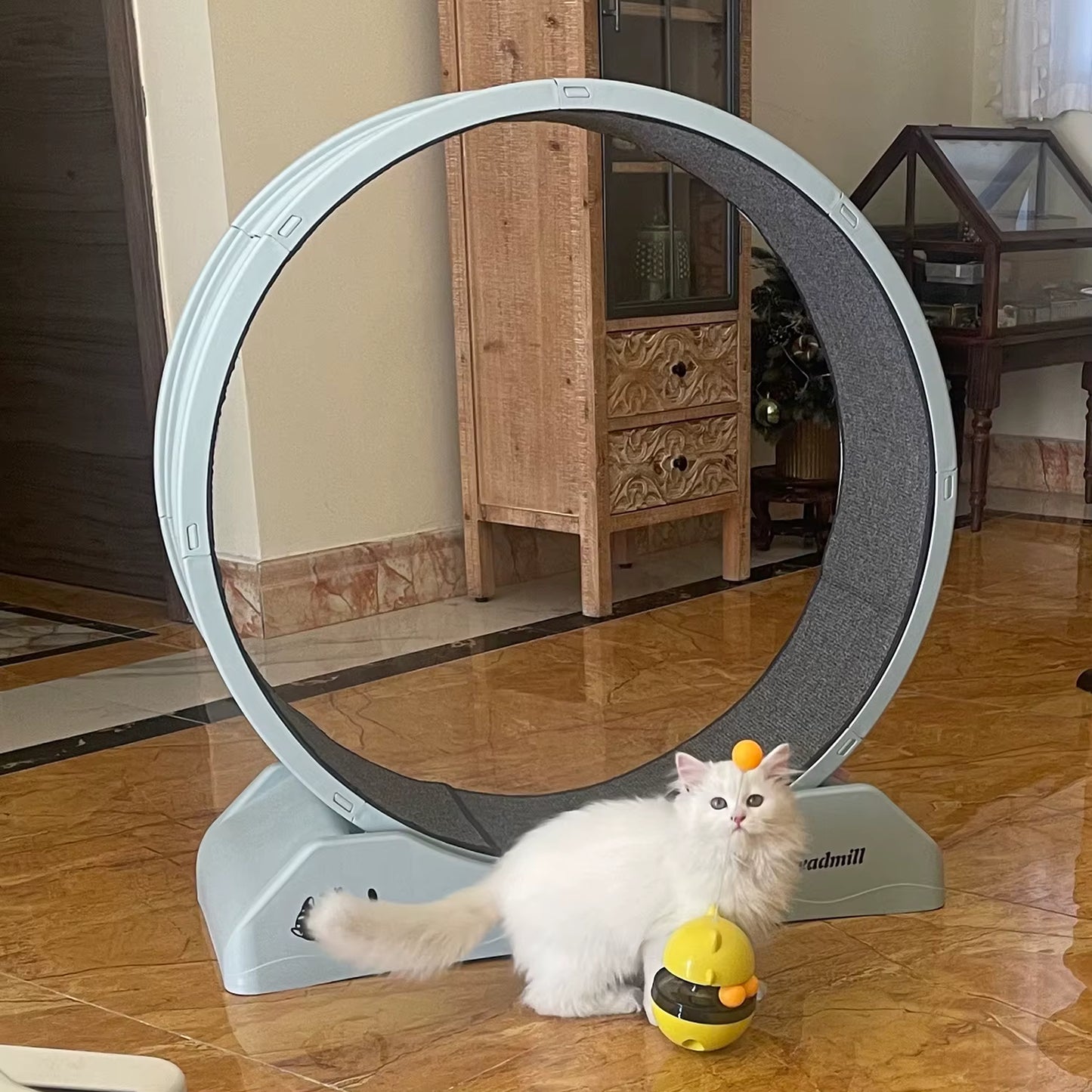 Grande Roue d’Exercice Silencieuse pour Chat – Tapis de Course Intérieur – Non Électrique – Structure Durable avec Verrouillage – 85 x 80 x 35 cm