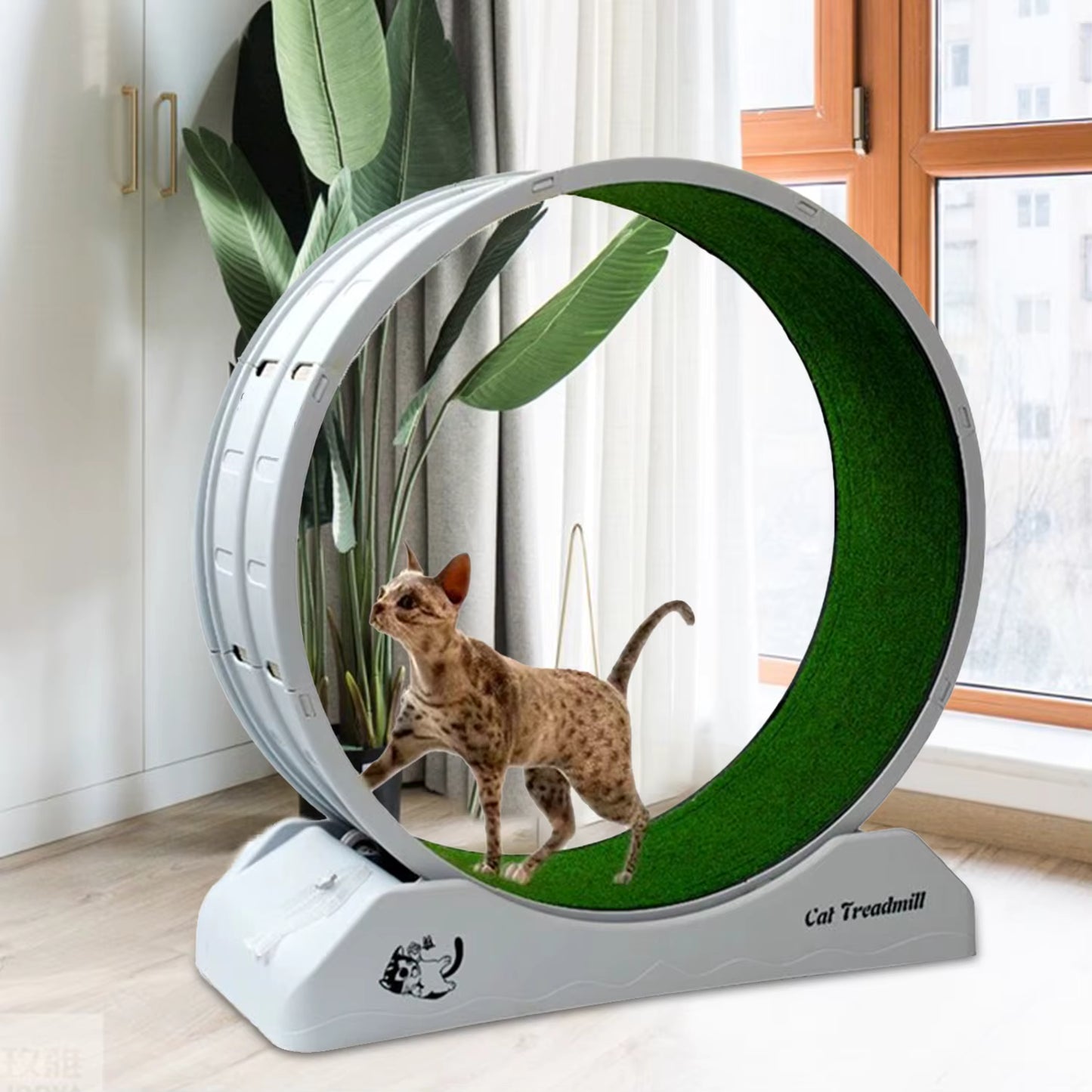 Grande Roue d’Exercice Silencieuse pour Chat – Tapis de Course Intérieur – Non Électrique – Structure Durable avec Verrouillage – 85 x 80 x 35 cm