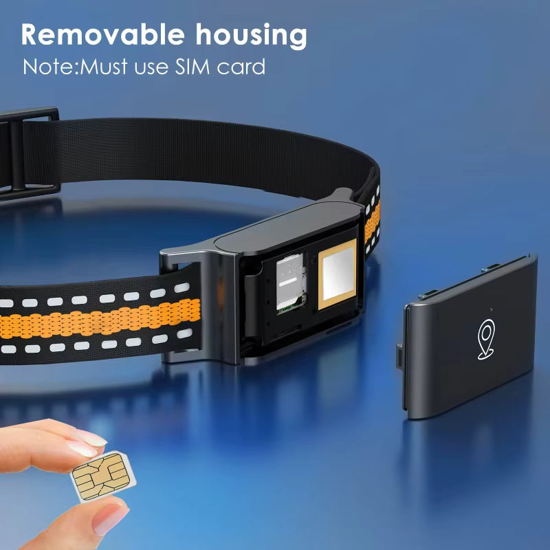 Collier GPS 4G pour Chien et Chat – Traceur d’Animaux Étanche IP67 avec Suivi en Temps Réel