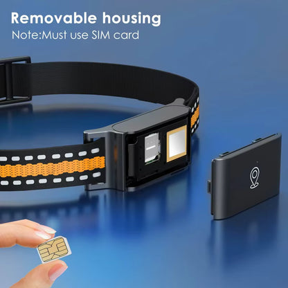 Collier GPS 4G pour Chien et Chat – Traceur d’Animaux Étanche IP67 avec Suivi en Temps Réel