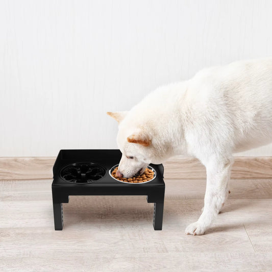 Gamelle Surélevée Réglable pour Chien et Chat avec Double Bol Inox – Support Anti Glouton et Station d'Alimentation Ergonomique