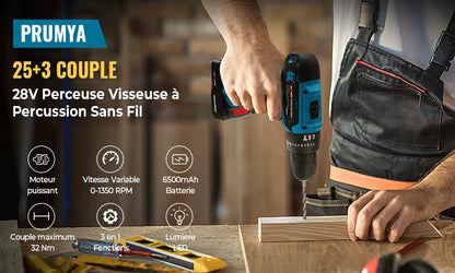 21V Cordless Drill Driver with 2 Batteries – 2-Speed Electric Screwdriver – 24-Piece Accessory Kit – DIY Home Projects