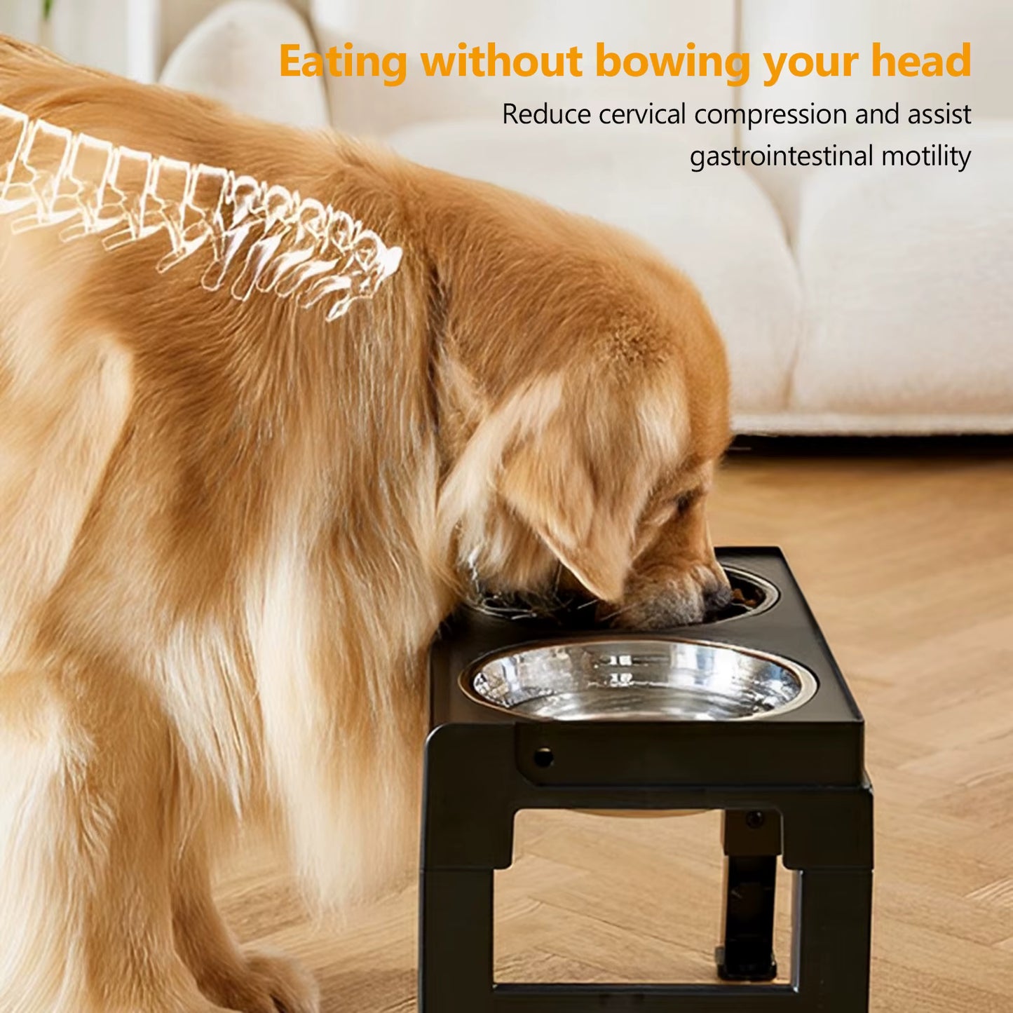 Gamelle Surélevée Réglable pour Chien et Chat avec Double Bol Inox – Support Anti Glouton et Station d'Alimentation Ergonomique