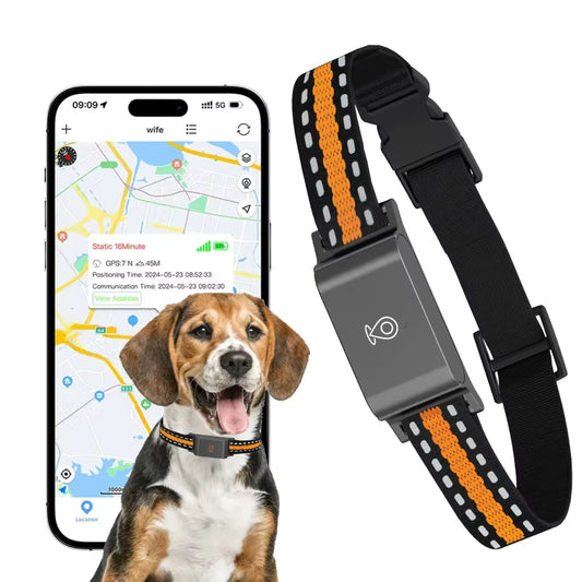 Collier GPS 4G pour Chien et Chat – Traceur d’Animaux Étanche IP67 avec Suivi en Temps Réel