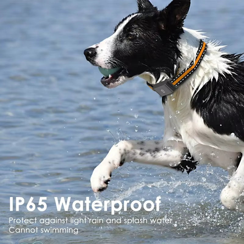 Collier GPS 4G pour Chien et Chat – Traceur d’Animaux Étanche IP67 avec Suivi en Temps Réel