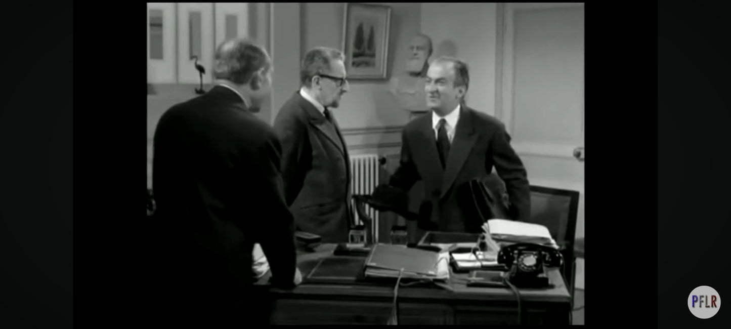 DVD : louis de funès irrésistible certains l'aiment froide film