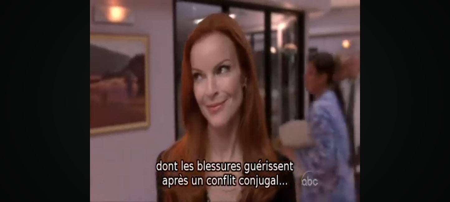 DVD : Desperate housewives s5 ep 9-15