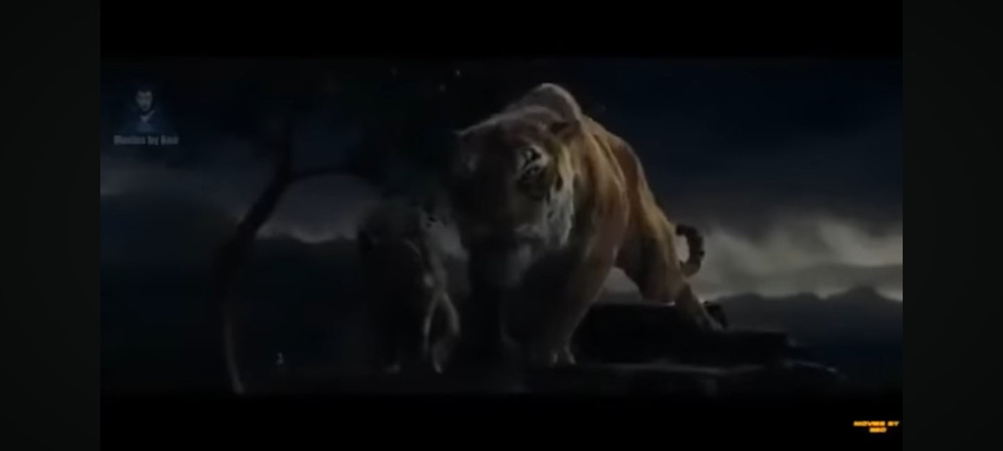 DVD : l'enfant de la jungle