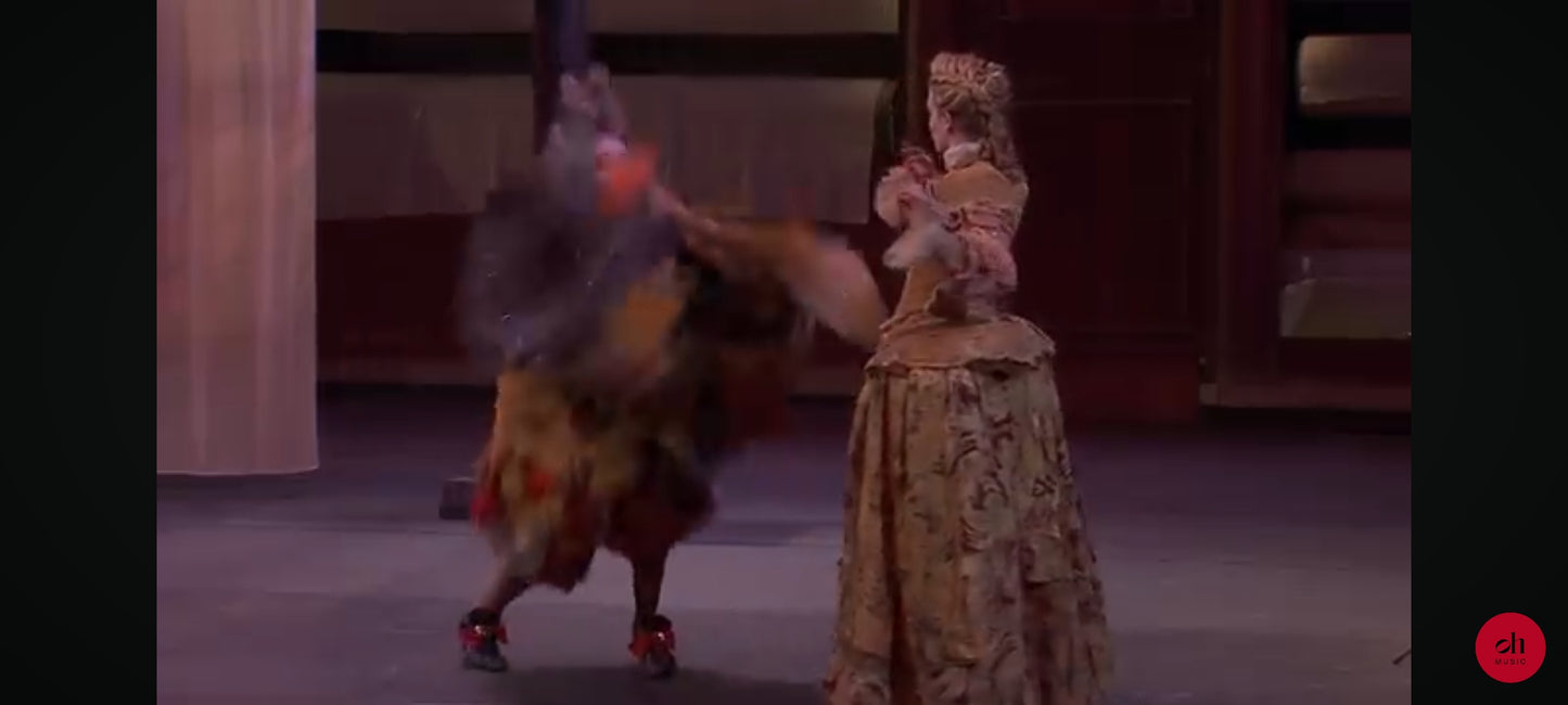 DVD : le bourgeois gentilhomme