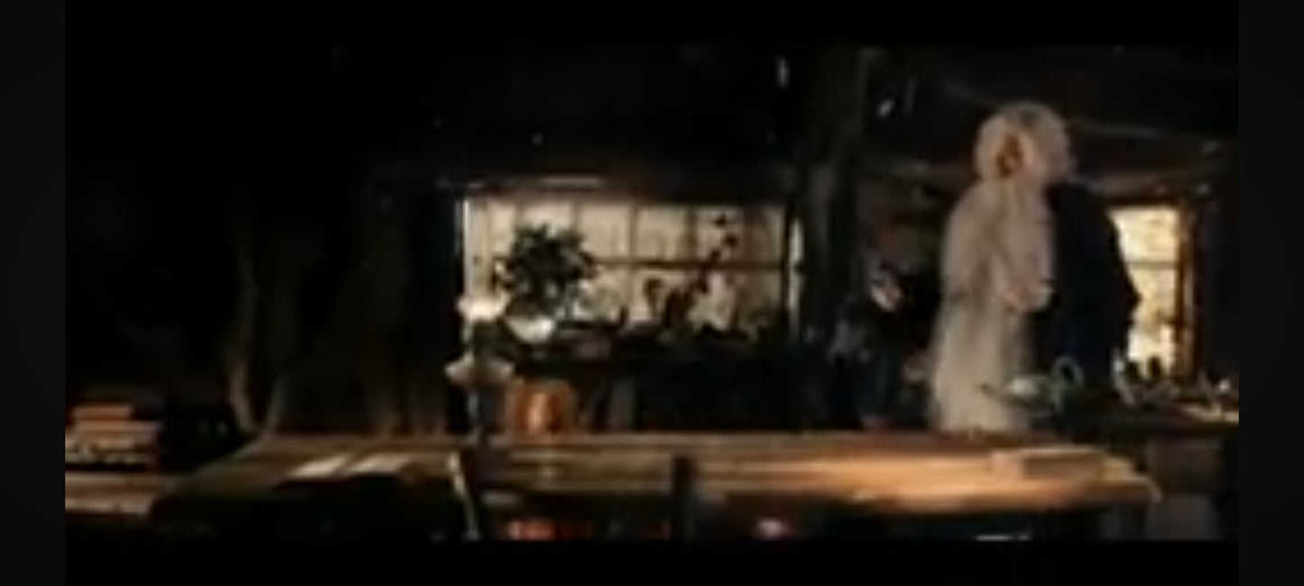 DVD : fuchsia l'apprentie sorcière