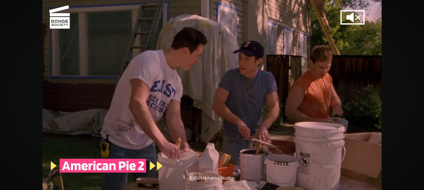 DVD : américain pie 2
