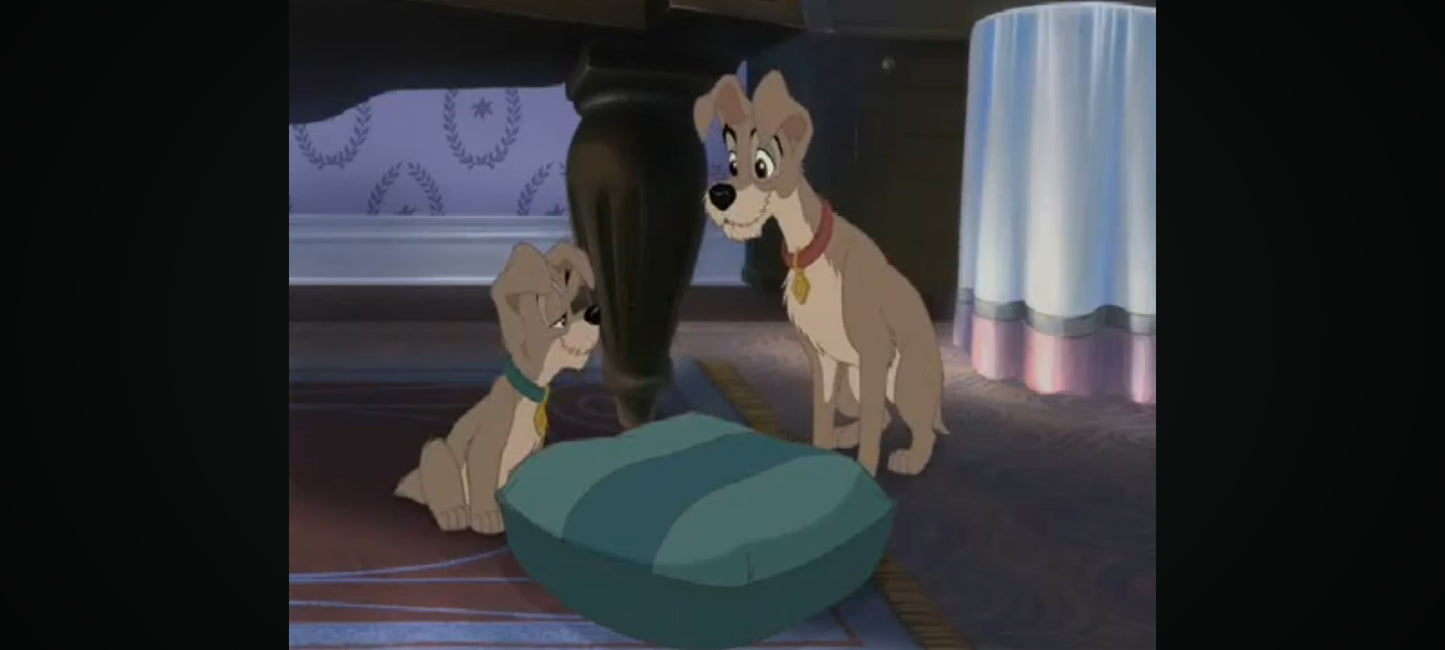 DVD : la belle et le clochard 2