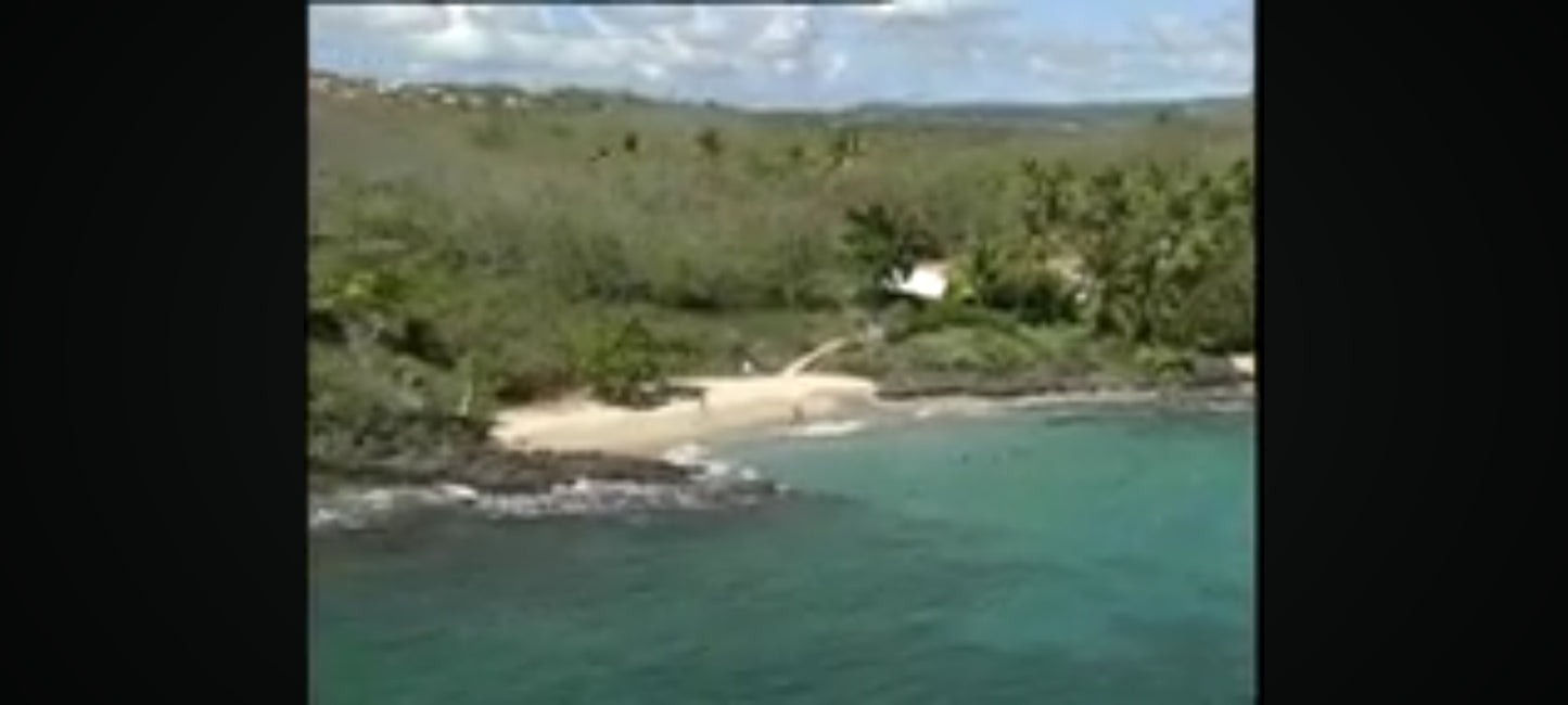 DVD : Le monde Vue du ciel