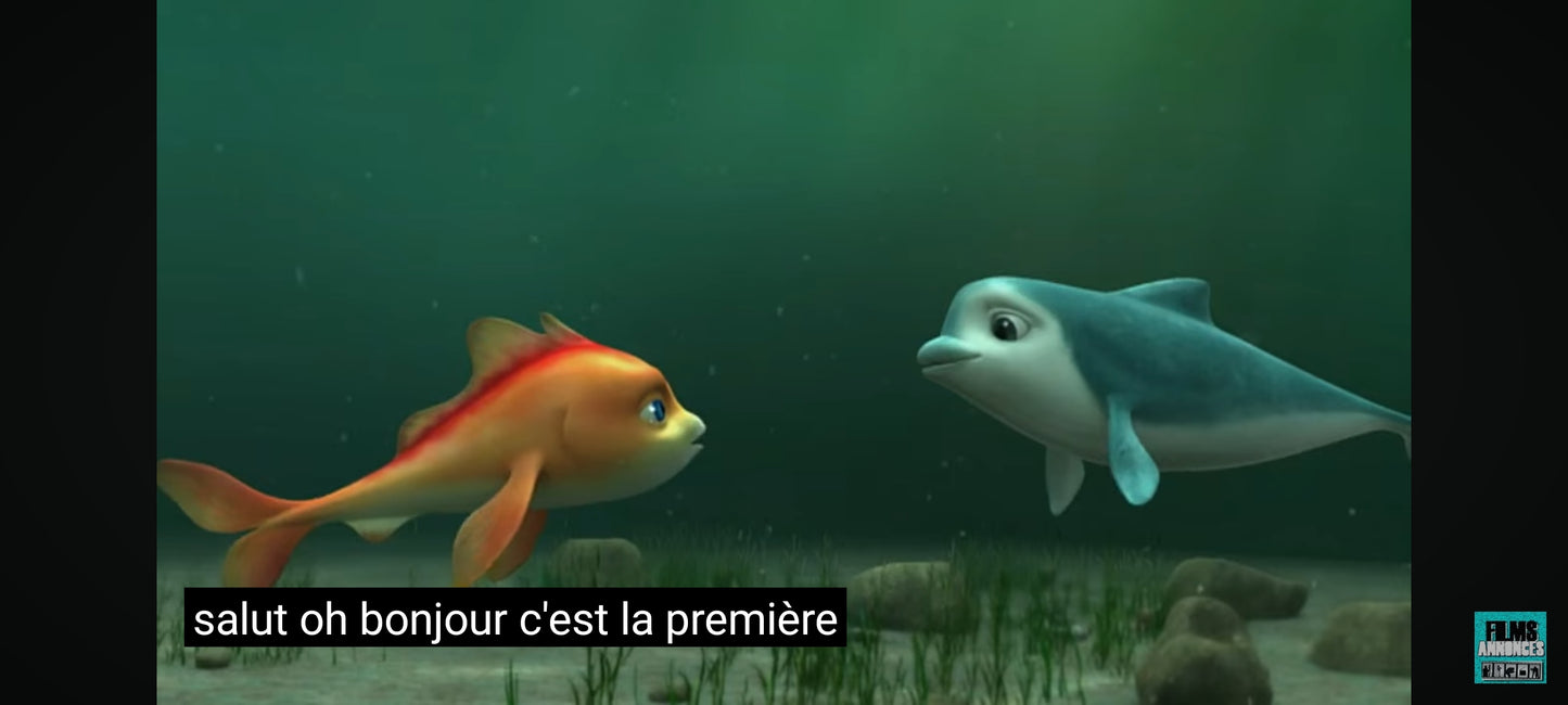 DVD : Festin des requins