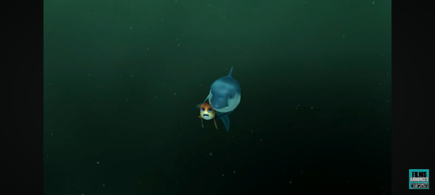 DVD : Festin des requins