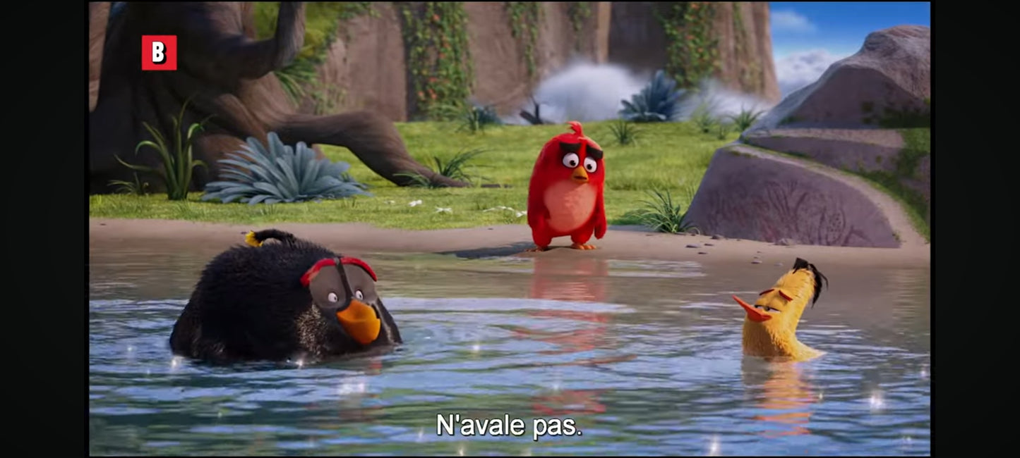 DVD : angry birds le film