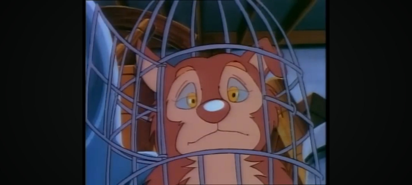 DVD : curly le petit chien