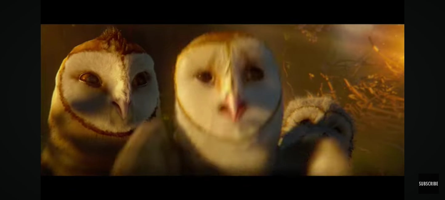 DVD : le royaume de ga'hool