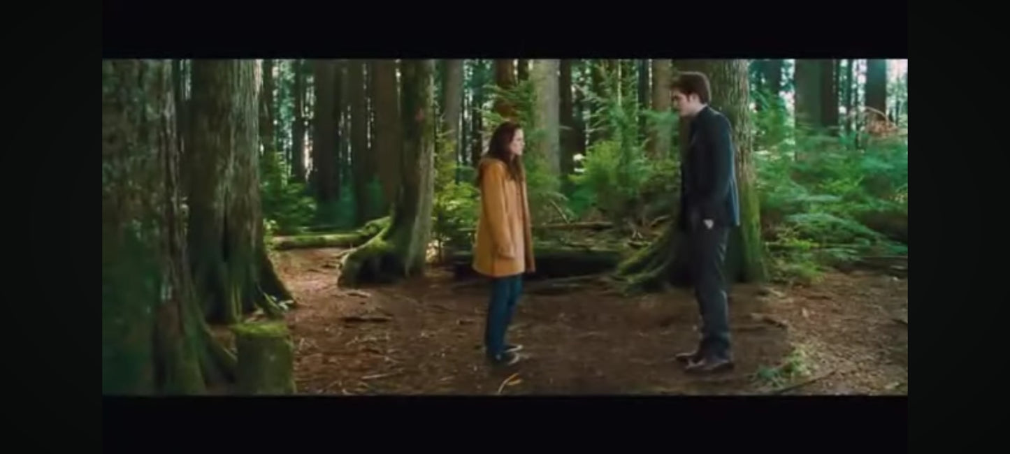 DVD Twilight chapitre 2 tentation